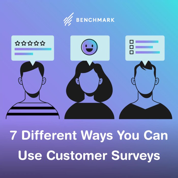 Using Surveys for Customer Insights