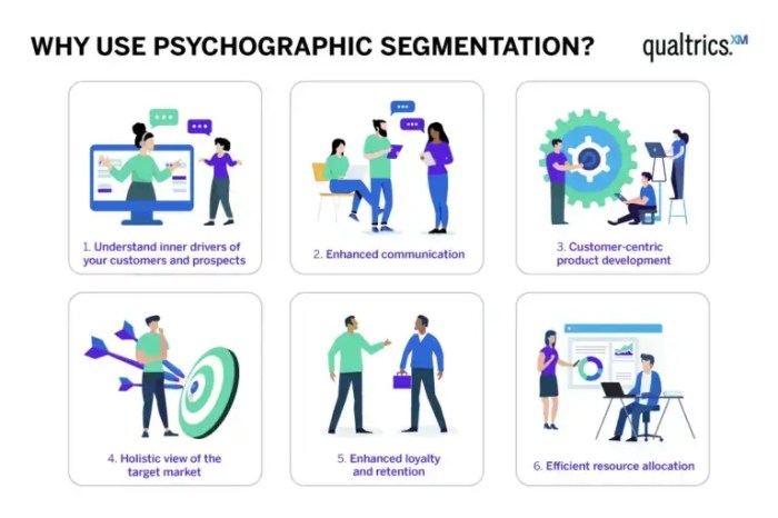 Understanding Audience Psychographics