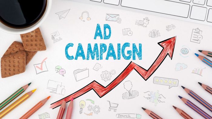 Optimizing Ad Campaigns