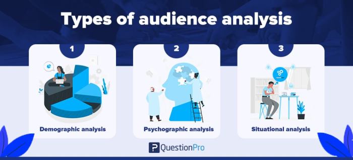 Understanding Audience Psychographics