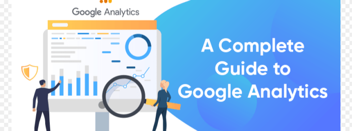 Google Analytics Guide