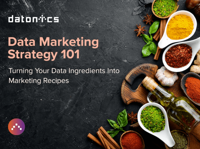 Using Data for Marketing